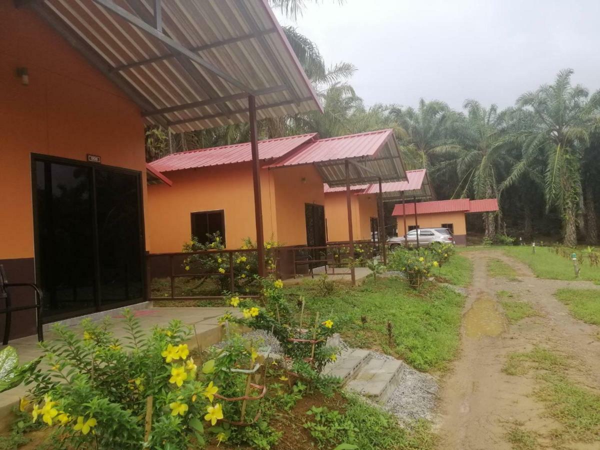 Khao Sok Evergreen House Khao Sok National Park Экстерьер фото