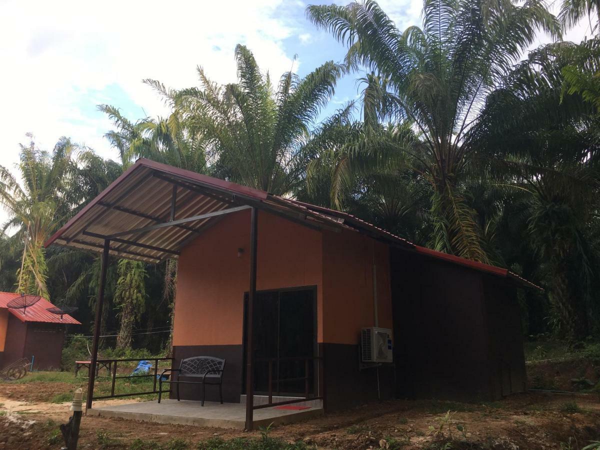 Khao Sok Evergreen House Khao Sok National Park Экстерьер фото