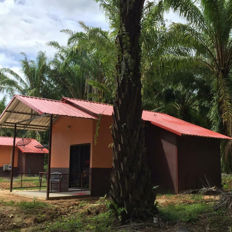 Khao Sok Evergreen House Khao Sok National Park Экстерьер фото