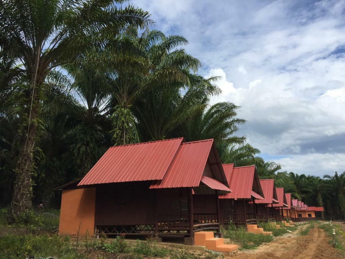 Khao Sok Evergreen House Khao Sok National Park Экстерьер фото