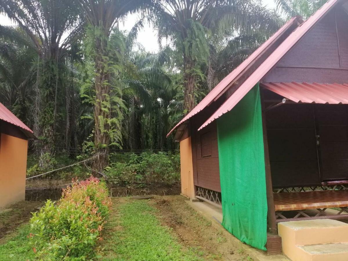 Khao Sok Evergreen House Khao Sok National Park Экстерьер фото