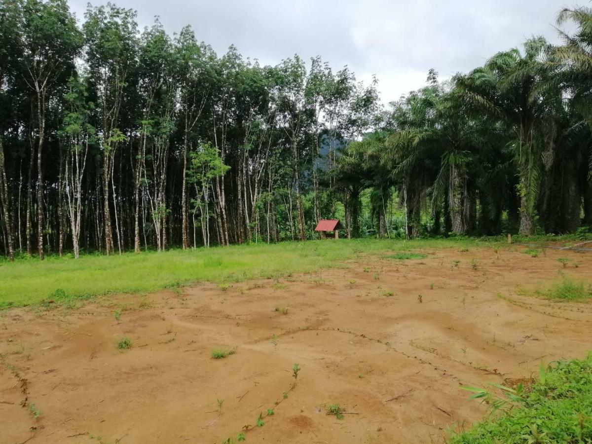 Khao Sok Evergreen House Khao Sok National Park Экстерьер фото