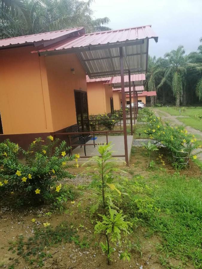 Khao Sok Evergreen House Khao Sok National Park Экстерьер фото