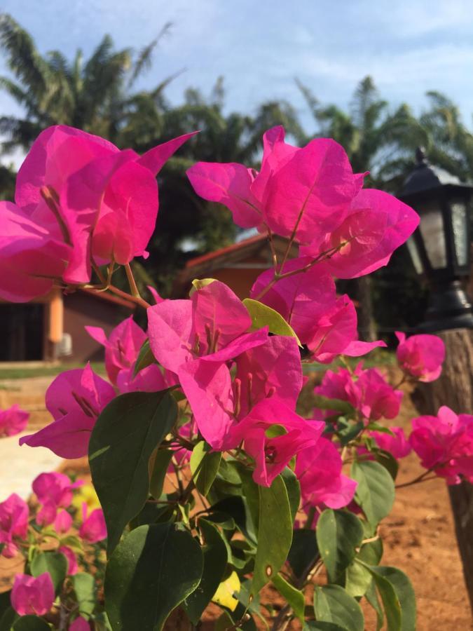 Khao Sok Evergreen House Khao Sok National Park Экстерьер фото