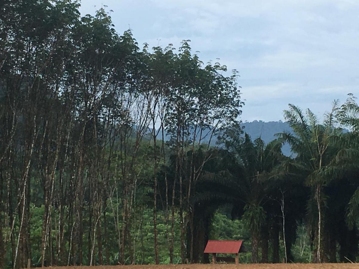 Khao Sok Evergreen House Khao Sok National Park Экстерьер фото