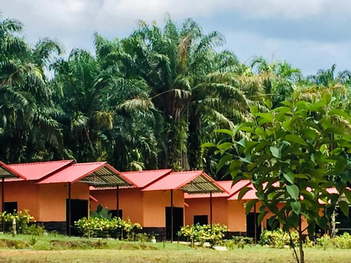 Khao Sok Evergreen House Khao Sok National Park Экстерьер фото